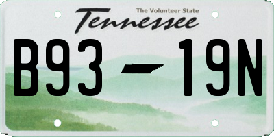 TN license plate B9319N