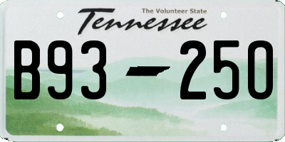 TN license plate B9325O