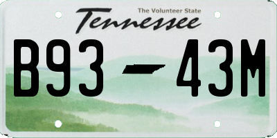 TN license plate B9343M