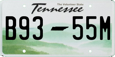TN license plate B9355M