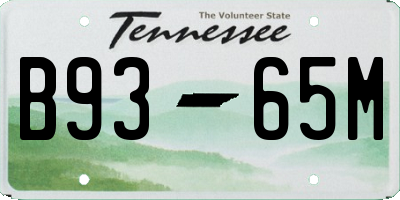 TN license plate B9365M
