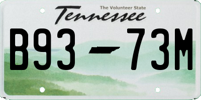 TN license plate B9373M