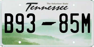 TN license plate B9385M