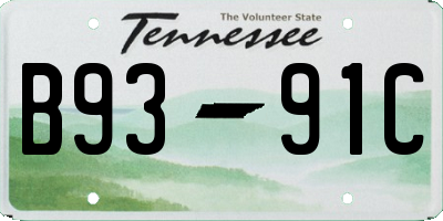 TN license plate B9391C