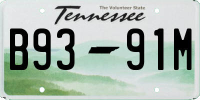 TN license plate B9391M