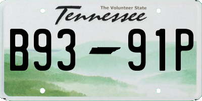 TN license plate B9391P