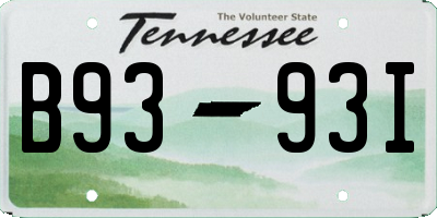 TN license plate B9393I