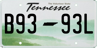 TN license plate B9393L