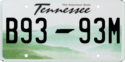 TN license plate B9393M