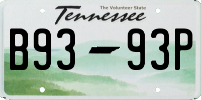 TN license plate B9393P