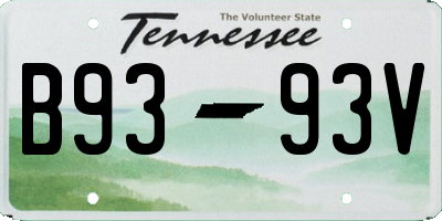 TN license plate B9393V