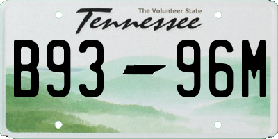 TN license plate B9396M