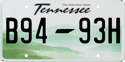 TN license plate B9493H
