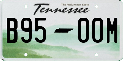 TN license plate B9500M