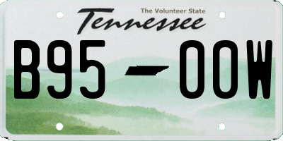 TN license plate B9500W