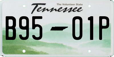 TN license plate B9501P
