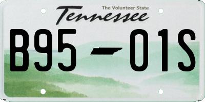TN license plate B9501S