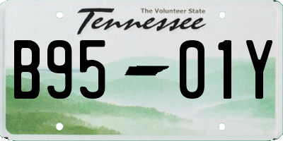TN license plate B9501Y