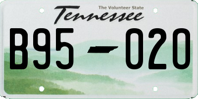 TN license plate B9502O