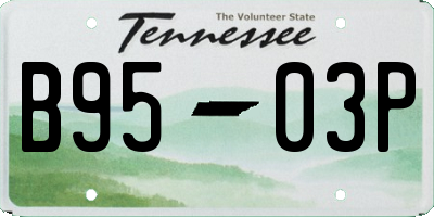 TN license plate B9503P