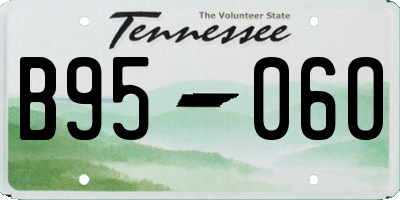 TN license plate B9506O