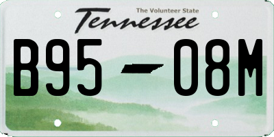 TN license plate B9508M