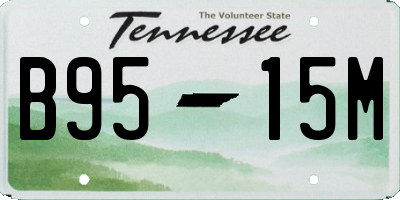 TN license plate B9515M