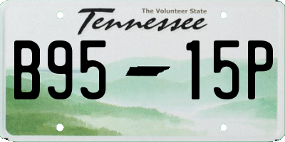 TN license plate B9515P