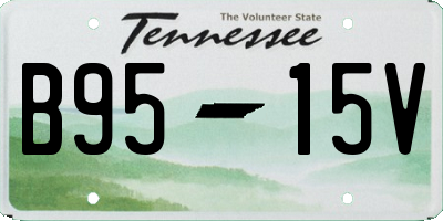 TN license plate B9515V