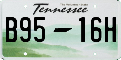 TN license plate B9516H