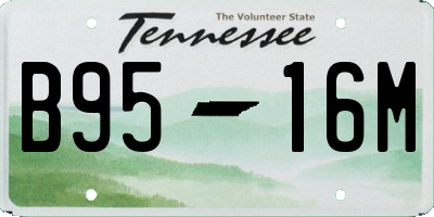 TN license plate B9516M