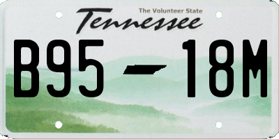 TN license plate B9518M