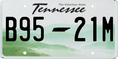TN license plate B9521M