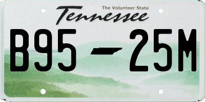 TN license plate B9525M