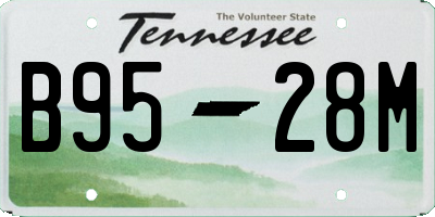 TN license plate B9528M