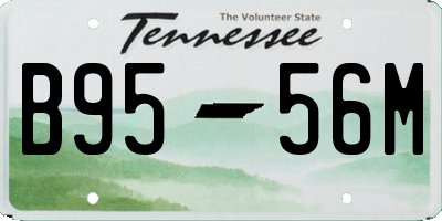 TN license plate B9556M