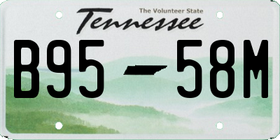TN license plate B9558M