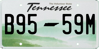 TN license plate B9559M