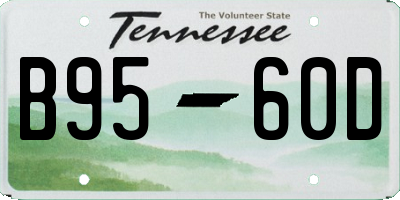 TN license plate B9560D