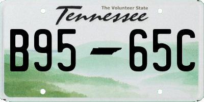 TN license plate B9565C