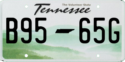 TN license plate B9565G