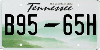 TN license plate B9565H
