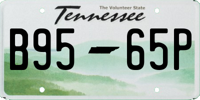 TN license plate B9565P