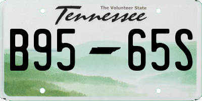 TN license plate B9565S
