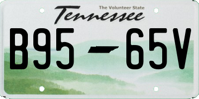 TN license plate B9565V