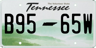 TN license plate B9565W