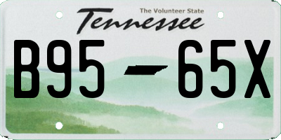 TN license plate B9565X