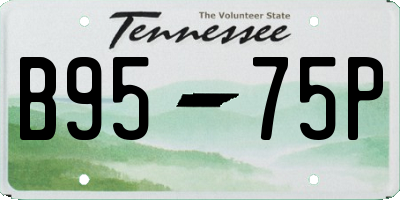 TN license plate B9575P