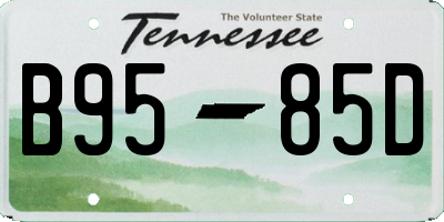 TN license plate B9585D