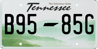 TN license plate B9585G